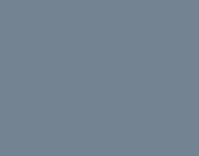 Eekhoorngrijs